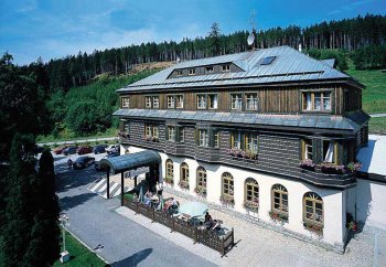 Alpsk Hotel