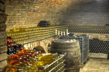 Penzion a vinařství Vavříček